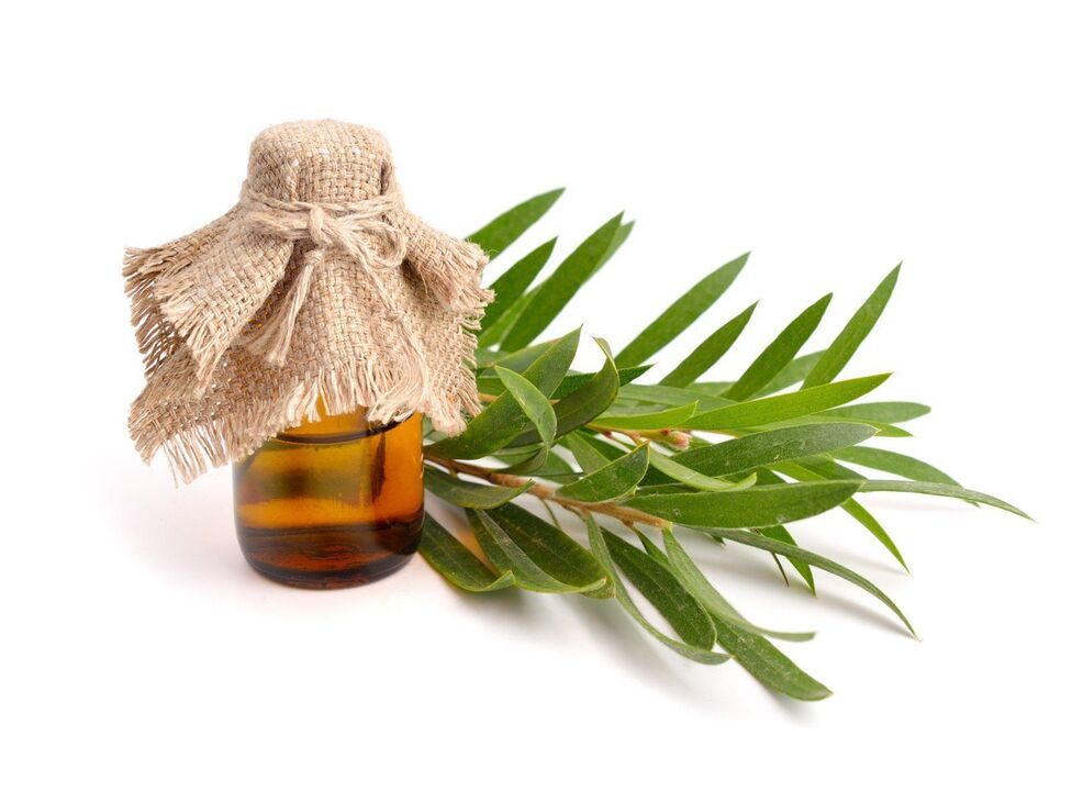 Olio dell'albero del tè come parte del valore crema zxcvbnmq